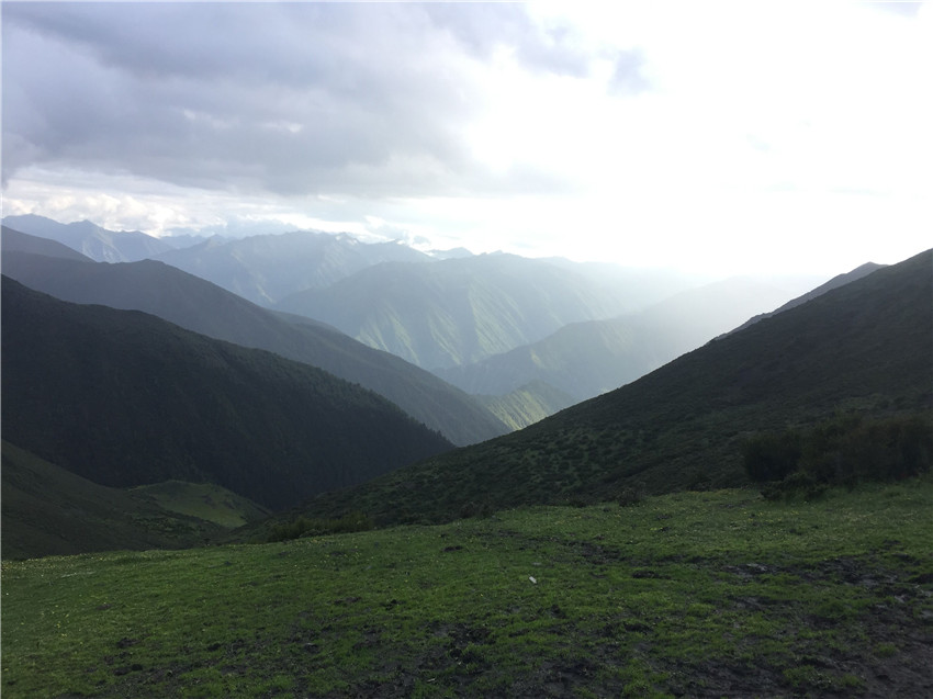 牧場遠眺。.jpg