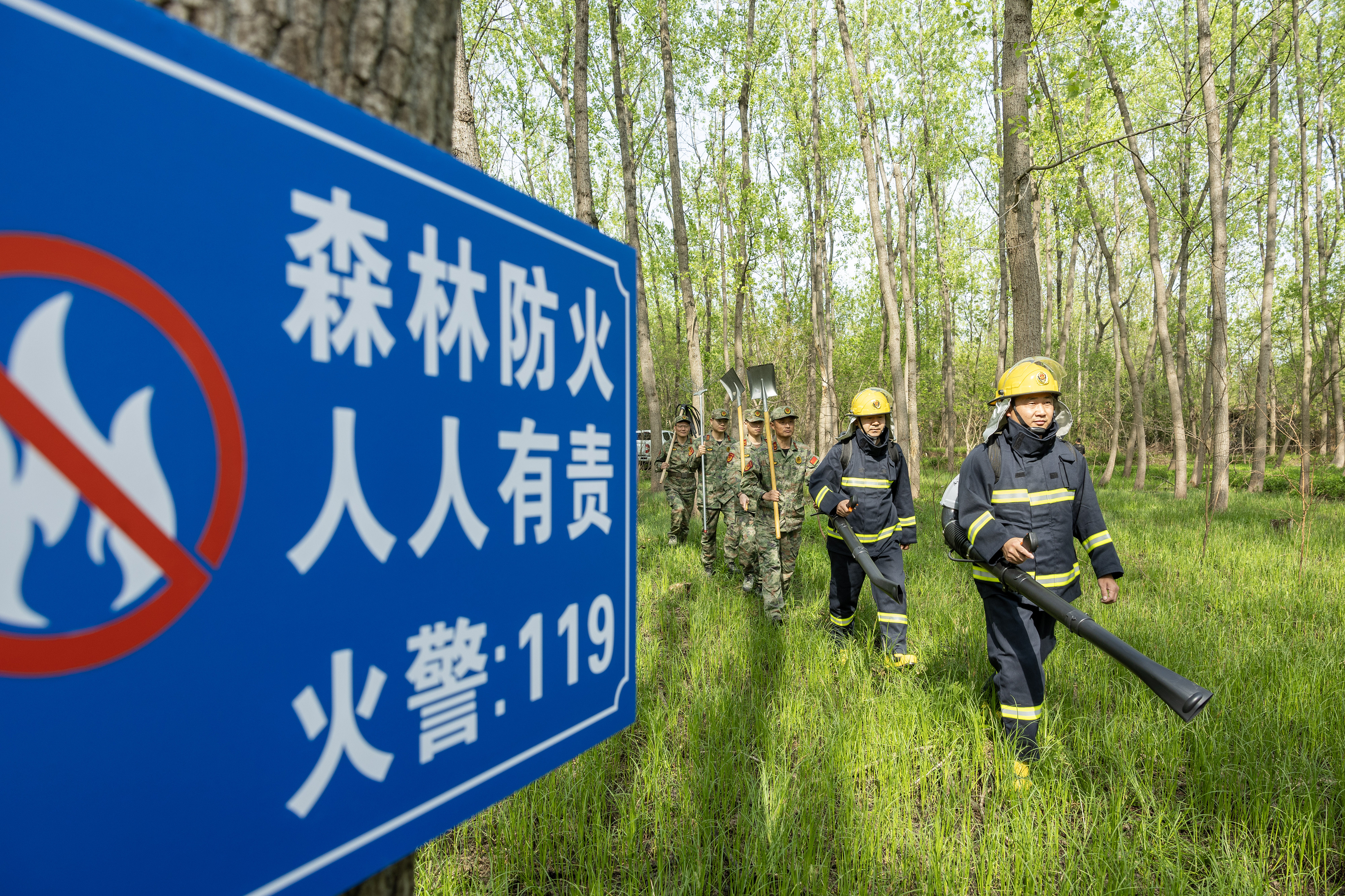 2024年4月9日，合肥市大房郢水庫(kù)水源保護(hù)地廬陽(yáng)經(jīng)濟(jì)開(kāi)發(fā)區(qū)段，基干民兵正在林間巡查火災(zāi)隱患。