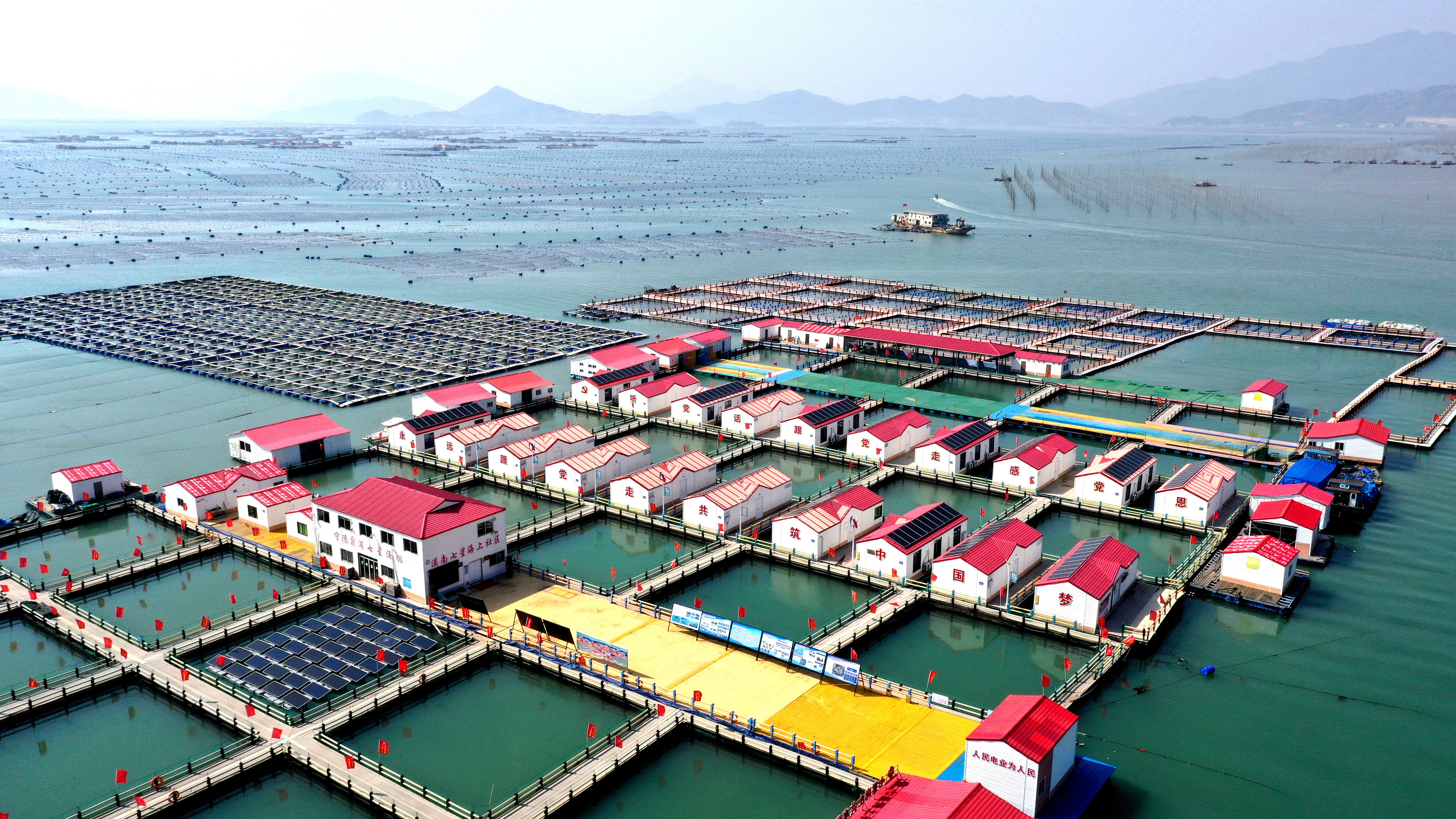 2024年3月20日，福建省寧德市，霞浦縣溪南鎮(zhèn)七星村漁排養(yǎng)殖示范區(qū)，漁民駕駛養(yǎng)殖船進行海參養(yǎng)殖作業(yè)。